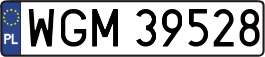 WGM39528
