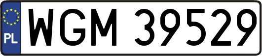 WGM39529