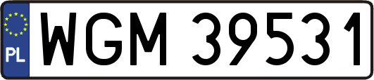 WGM39531