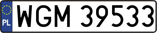 WGM39533