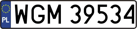 WGM39534