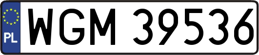 WGM39536