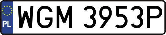 WGM3953P