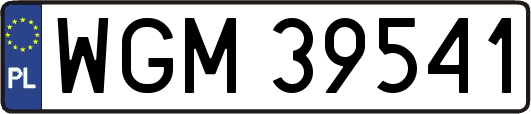 WGM39541