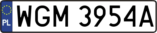 WGM3954A