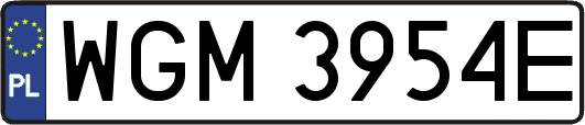 WGM3954E