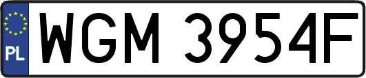 WGM3954F