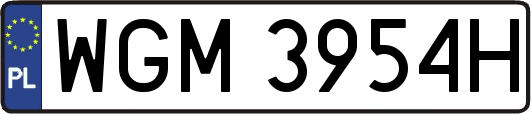 WGM3954H