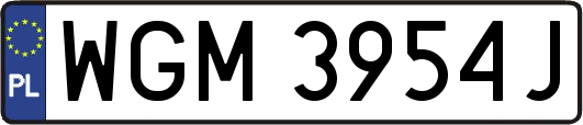 WGM3954J