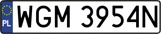 WGM3954N