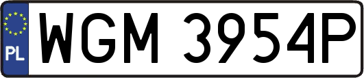 WGM3954P