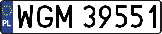 WGM39551