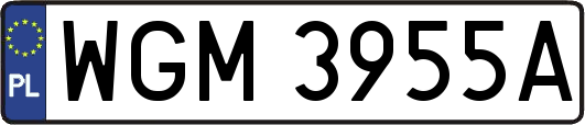 WGM3955A