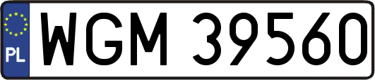 WGM39560