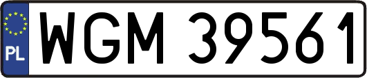 WGM39561