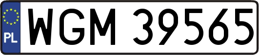 WGM39565