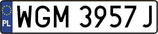 WGM3957J