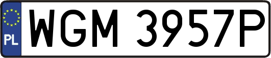 WGM3957P