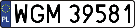 WGM39581
