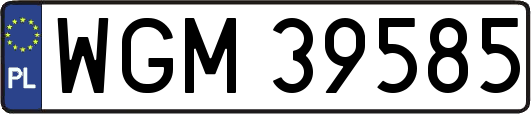 WGM39585