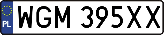 WGM395XX