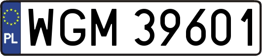 WGM39601