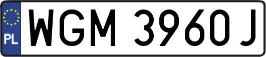 WGM3960J