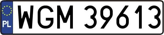 WGM39613