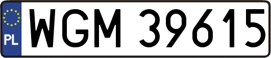 WGM39615