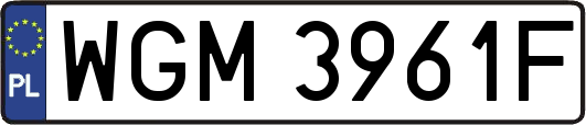WGM3961F