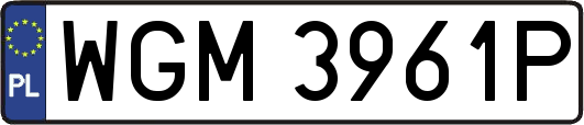 WGM3961P