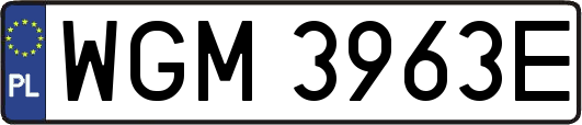WGM3963E