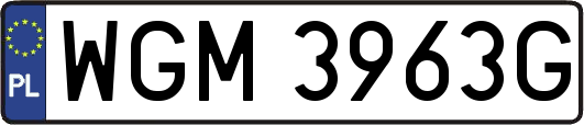 WGM3963G