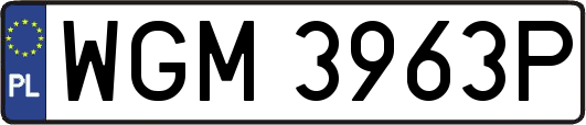 WGM3963P