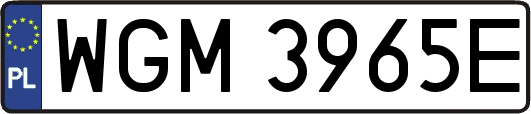 WGM3965E