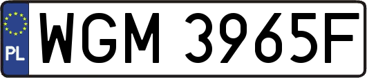 WGM3965F