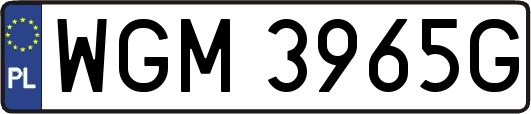 WGM3965G