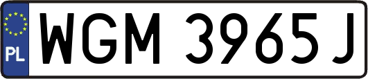 WGM3965J