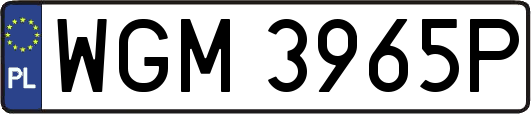 WGM3965P