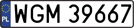 WGM39667