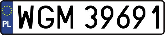 WGM39691