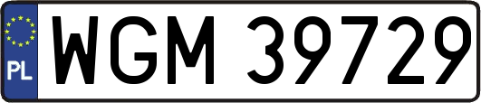 WGM39729