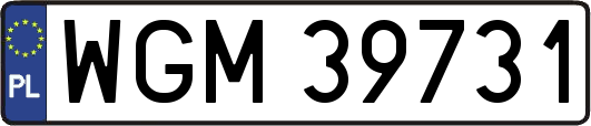 WGM39731