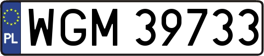 WGM39733