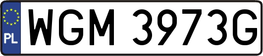 WGM3973G
