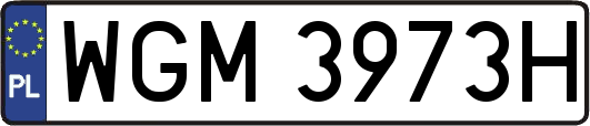 WGM3973H