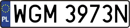 WGM3973N
