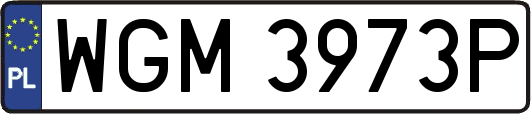 WGM3973P