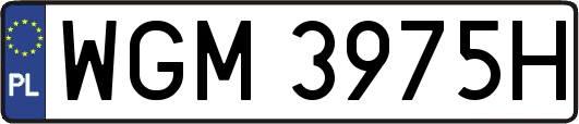 WGM3975H