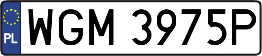 WGM3975P